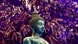 Buddha Statue, Lyon Arboretum, Hawaii, US
