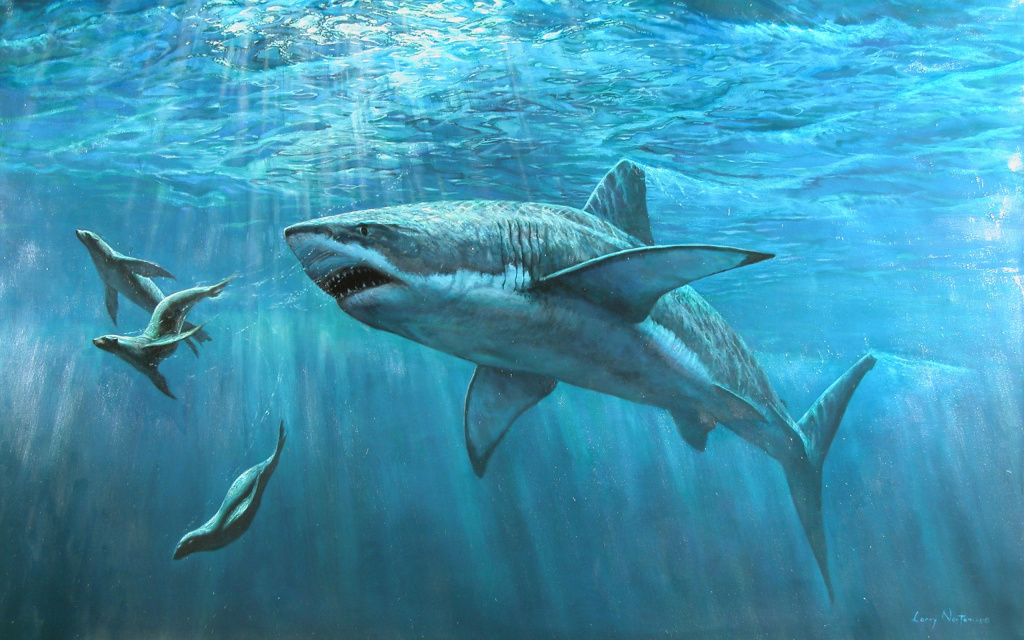 Great White Painting HD Wallpaper