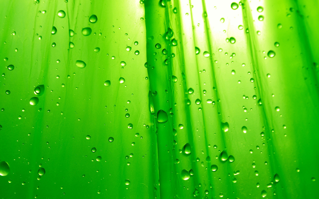 Green Drops HD Wallpaper