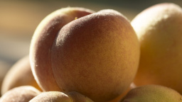 Peaches Macro