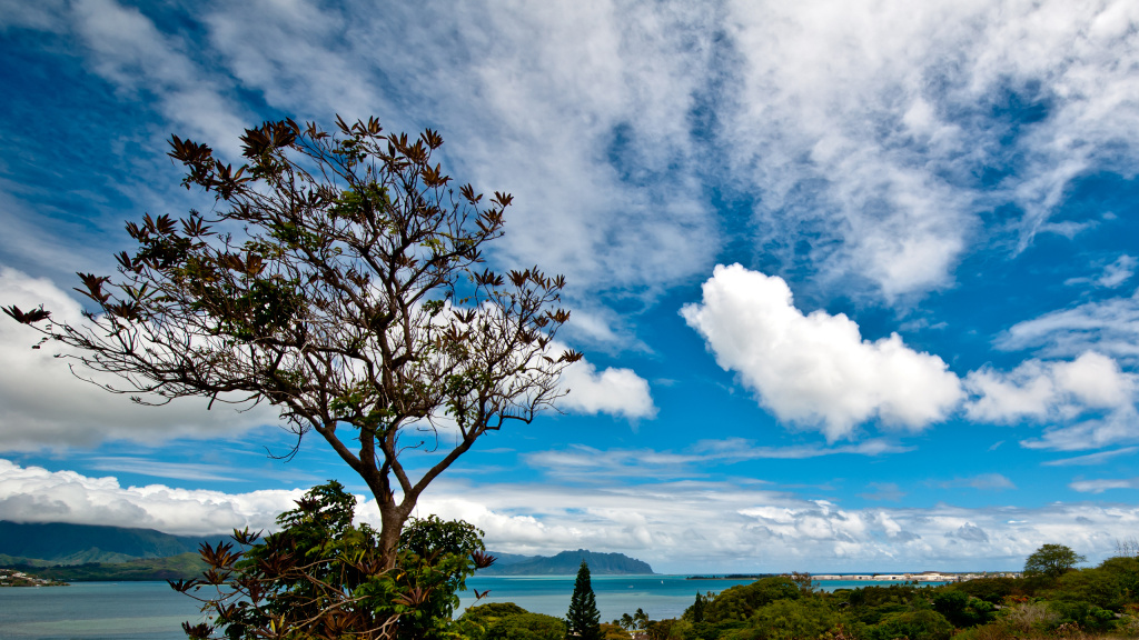 Viewpoint, Keaalu, Kaneohe, HI, US HD Wallpaper