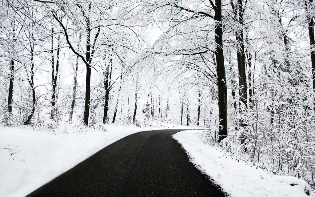 Winter Scenery HD Wallpaper