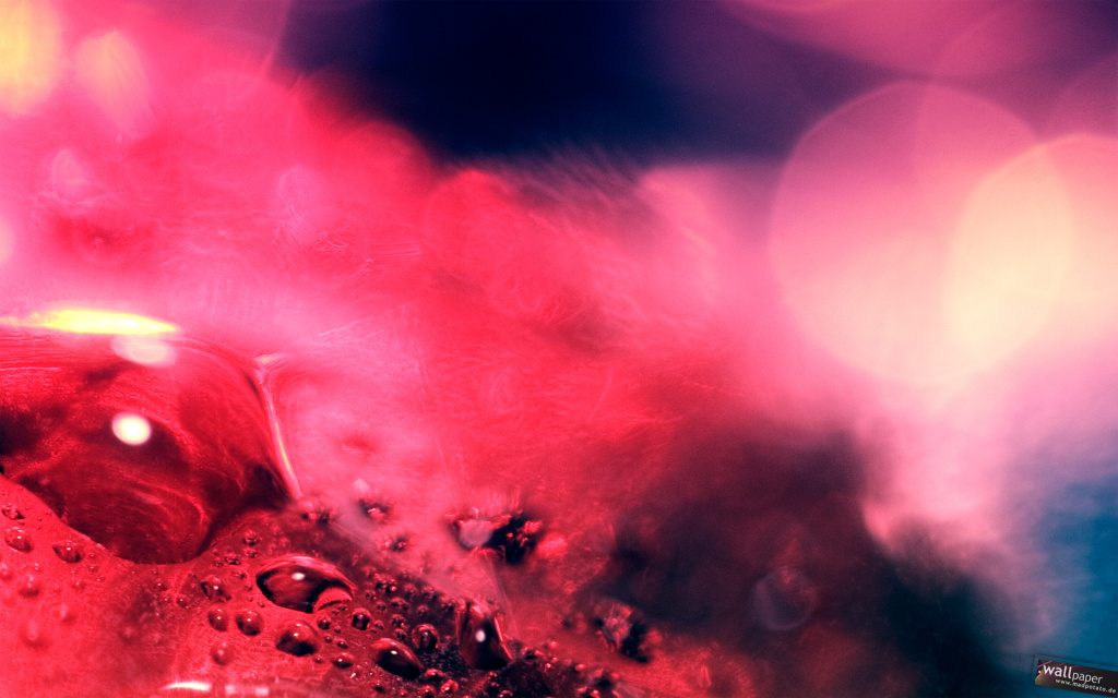 Beautiful Red Drops HD Wallpaper